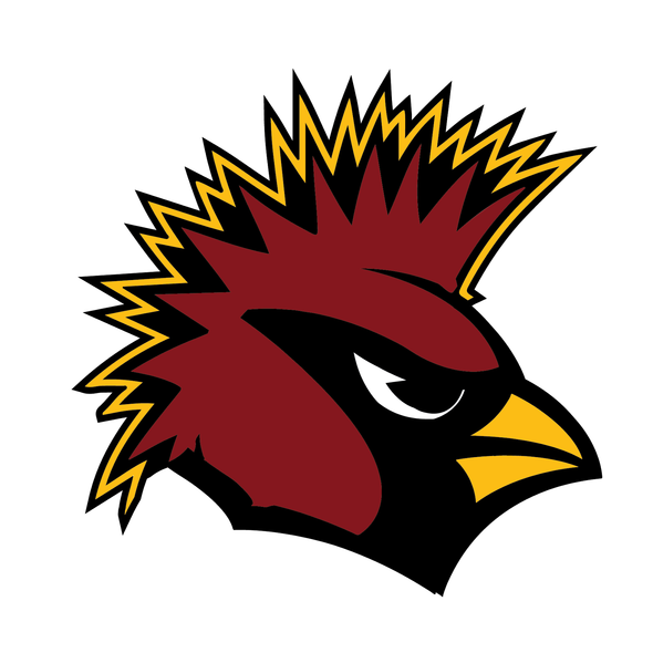 Arizona Cardinals Heavy Metal Logo DIY iron on transfer (heat transfer)